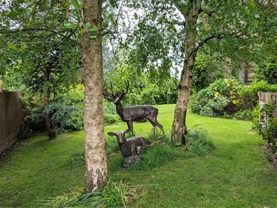 Picture 21